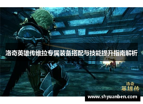 洛奇英雄传维拉专属装备搭配与技能提升指南解析