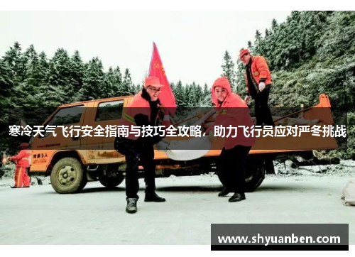 寒冷天气飞行安全指南与技巧全攻略，助力飞行员应对严冬挑战